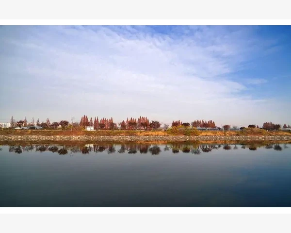 MT4图表时间切换本地时区操作与原理详解
