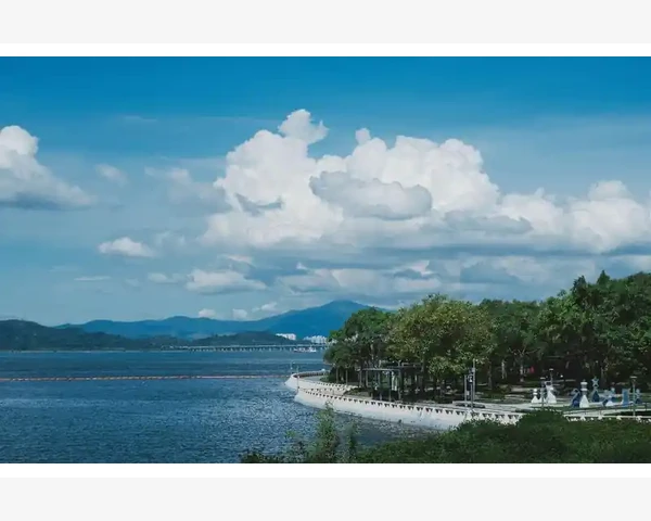 截图分享MT4图表到社交媒体的技巧
