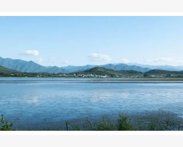 MT4电脑版交易列表刷新方法详解_利用MT4自带的终端窗口查看实时盈亏状态
