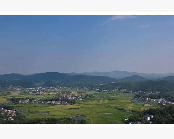 MT4平台查看市场深度信息的操作步骤